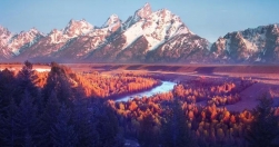 Curso - Peixes Ornamentais